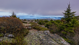 Blick vom Cadillac Mountain im Acadia National Park auf die Küste von Maine