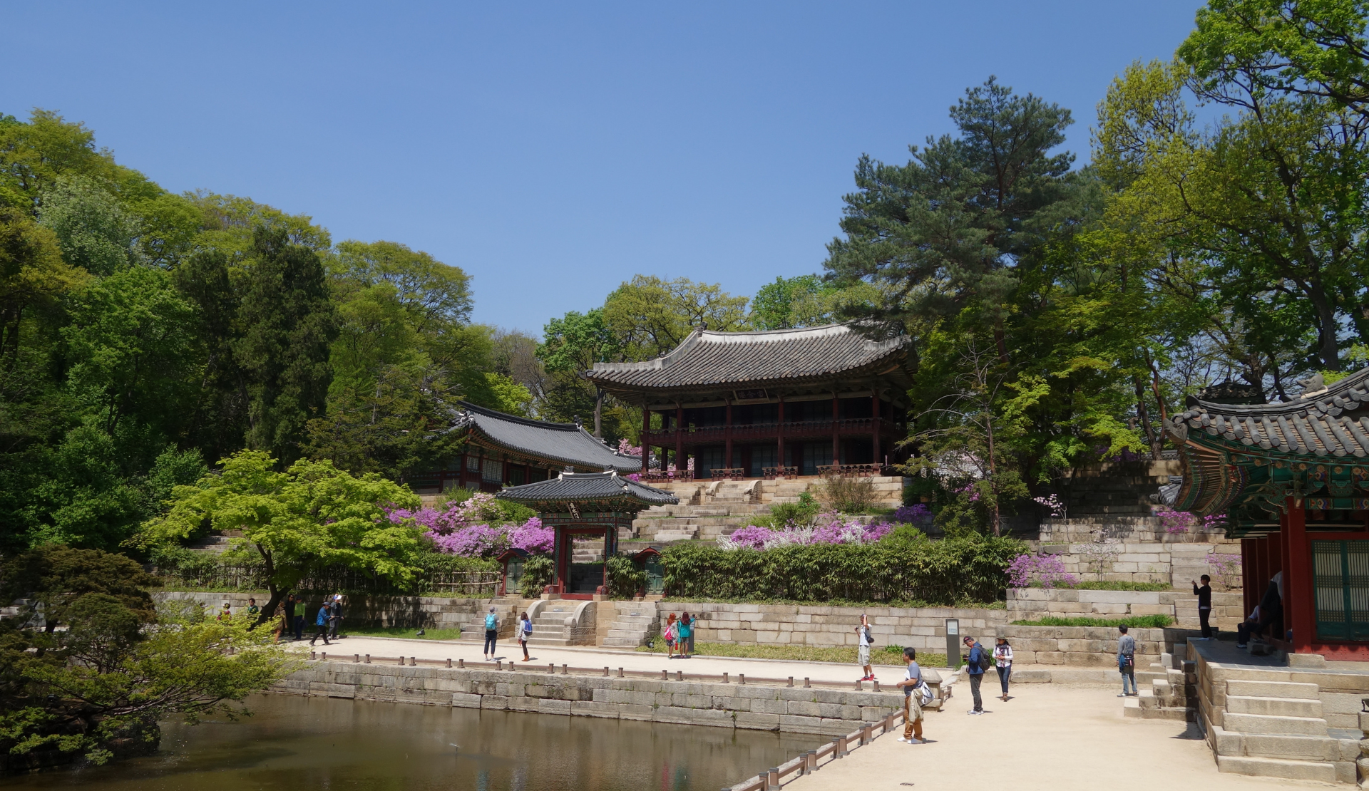 Blick auf den Buyongji-Teich mit dem Buyongjeong-Pavillon im Secret Garden des Changdeokgung-Palastes in Seoul im Frühling