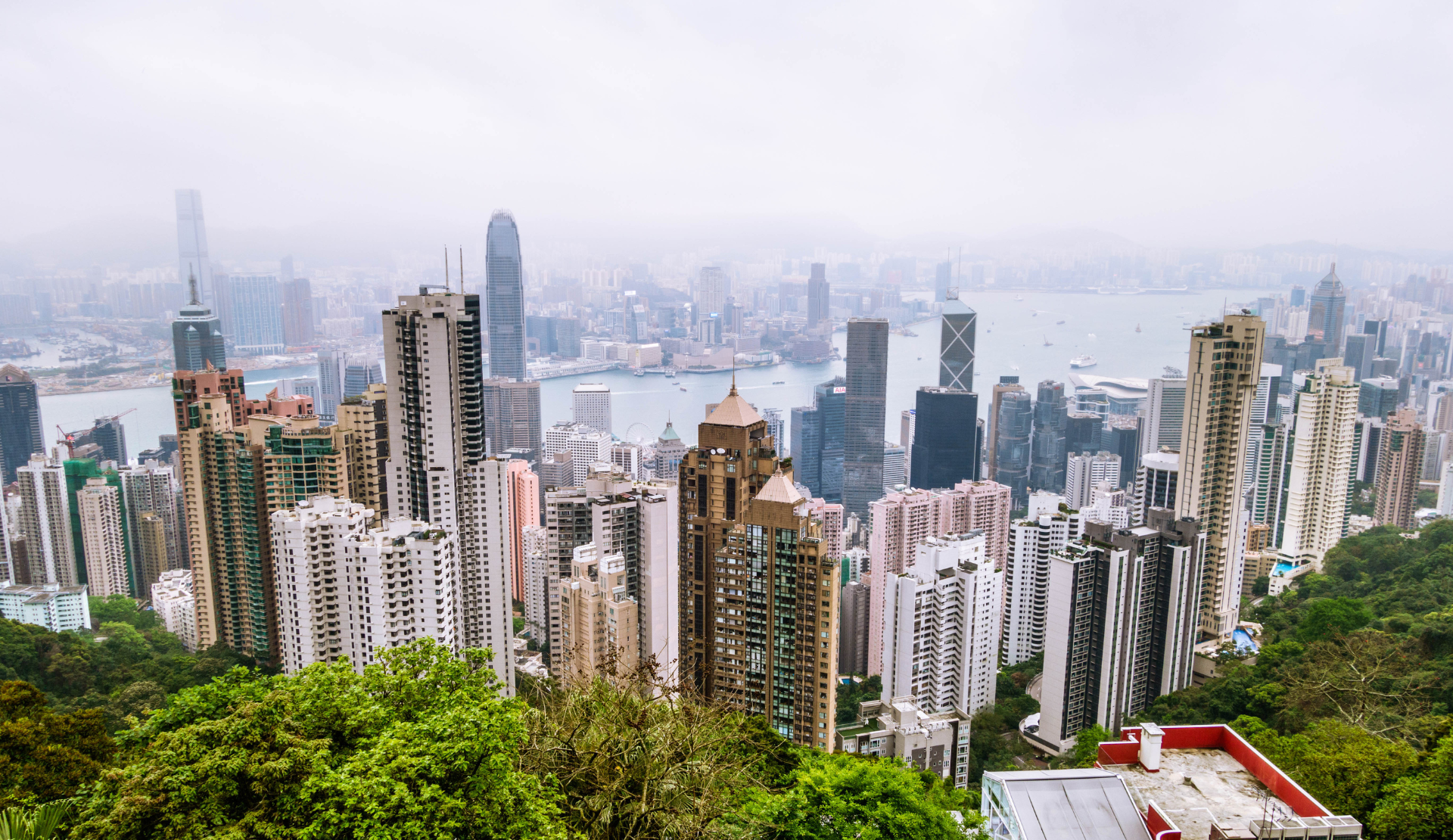 Hongkong Skyline vom Victoria Peak mit Wolkenkratzern, Victoria Harbour und grüner Vegetation im Vordergrund