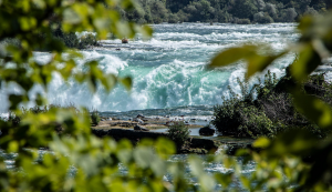 Blick auf die Stromschnellen des Niagara River zwischen Bäumen