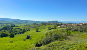 Aussicht über die hügelige Landschaft der Toskana mit grünen Feldern, Olivenbäumen und einem kleinen Dorf am Horizont