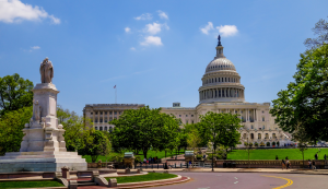 Roadtrip USA: Blick auf das Capitol in Washington D.C.