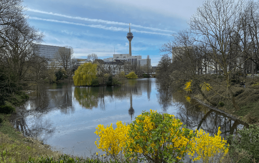 Düsseldorf Schwanenspiegel