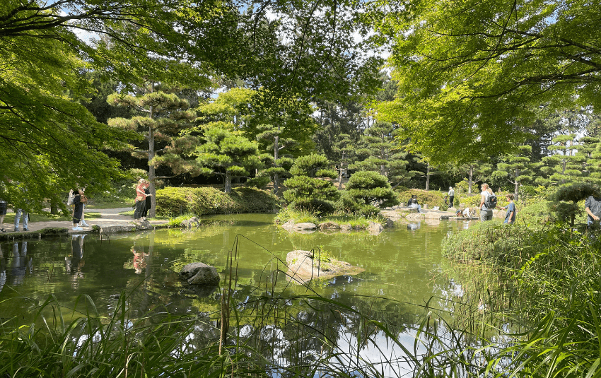 Der Japanische Garten  am Rhein im Nordpark