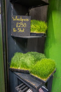 Stand mit Weizengras auf dem Borough Market London