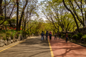 Reisen nach Seoul - Namsampark