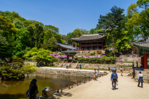 Paläste in Seoul - Changdeokgung Secret Garden