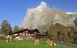Das-Berner-Oberland-in-der-Schweiz-Grindelwald-mit Wetterhorn