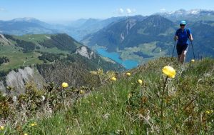 Das Schweizer-Oberland