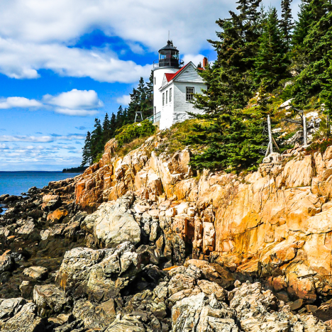 Möhrensuppe mit Kokos und Curry