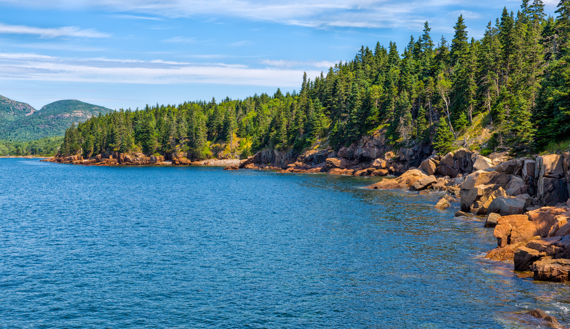 Ruhige Küstenlandschaft mit Felsen, blauem Wasser und Nadelwald im Acadia Nationalpark