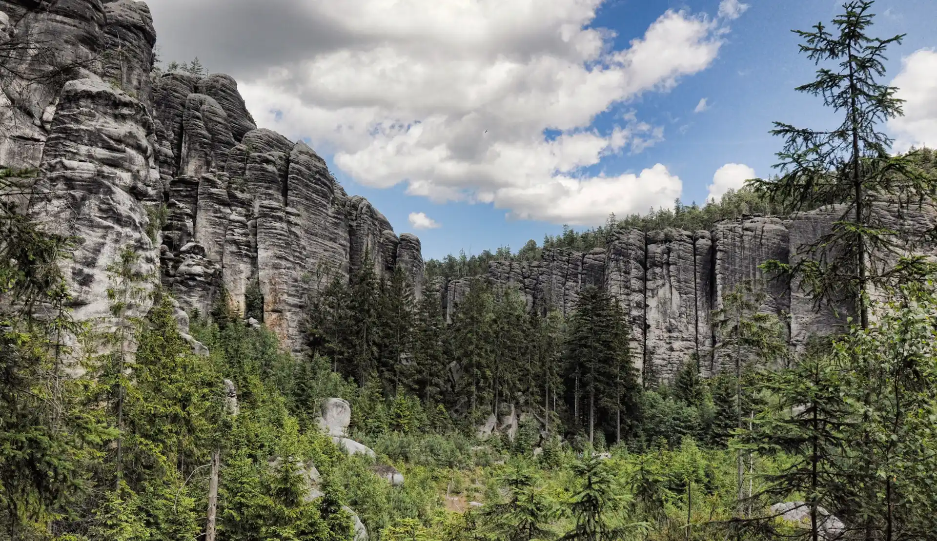 Hohe Felswände der Adersbacher Felsenstadt mit dichtem Nadelwald im Vordergrund
