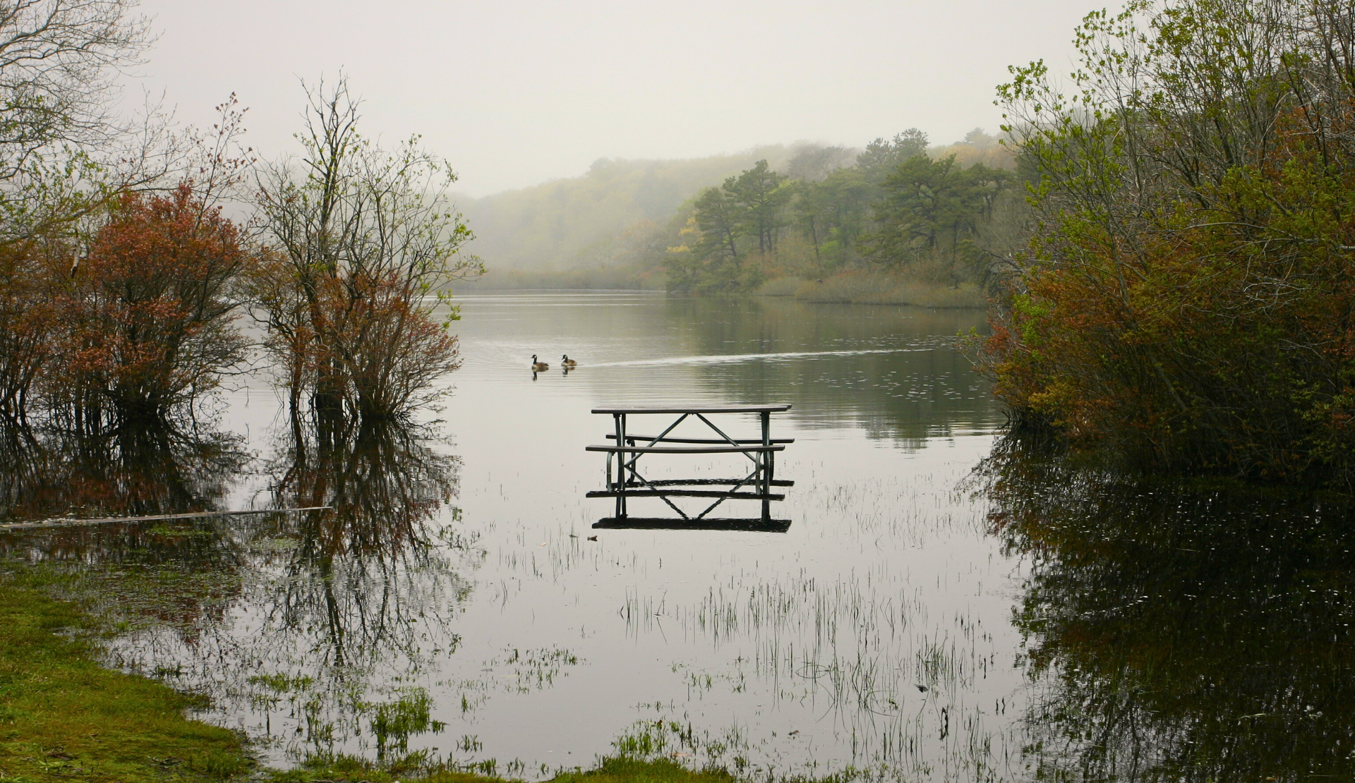 eg im Beech Forest Trail auf Cape Cod mit Baeumen, stillem Wasser und Picknicktisch
