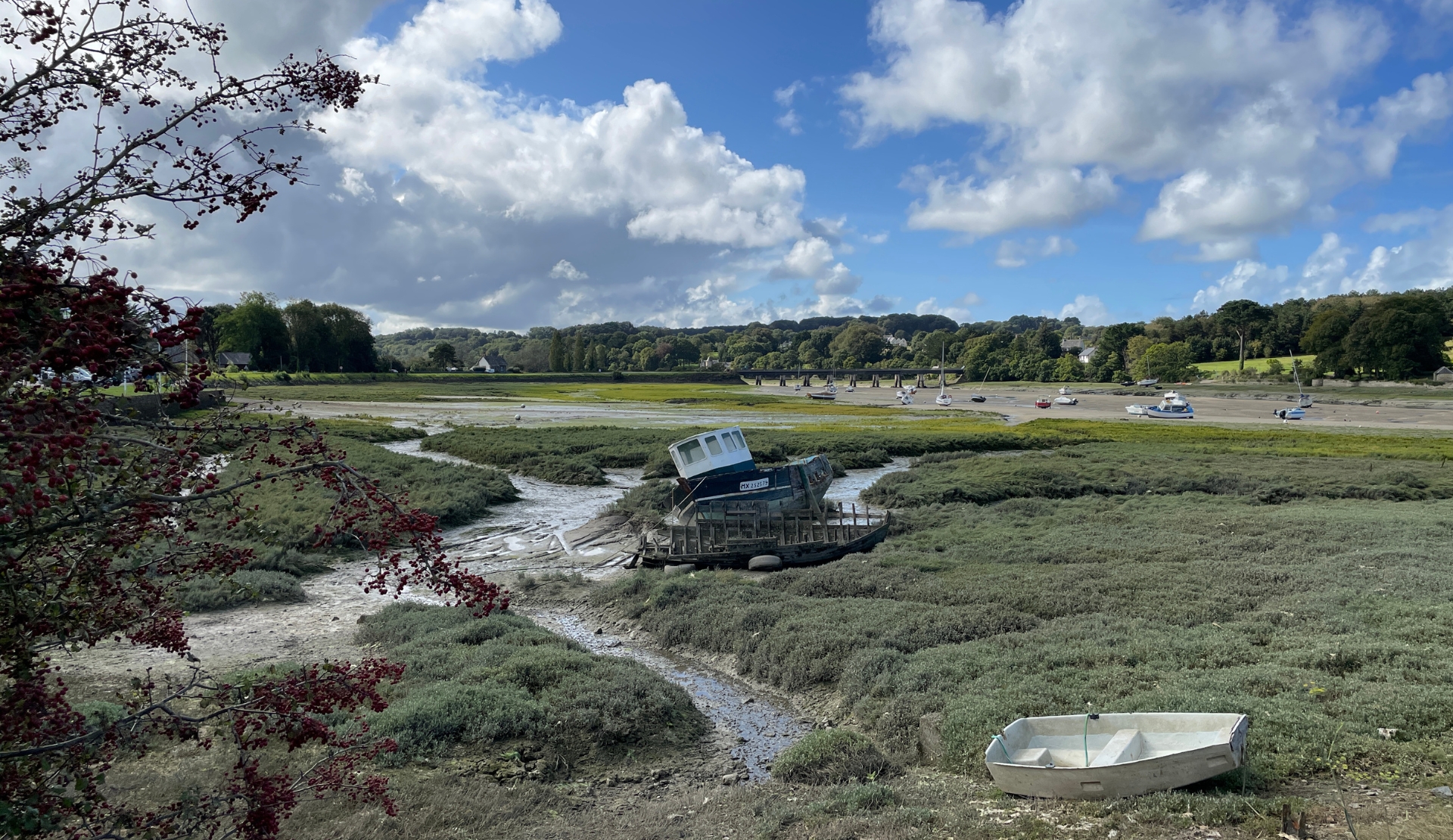 Bretonische Küstenlandschaft bei Ebbe mit gestrandetem Boot im Grün der Gezeitenzone