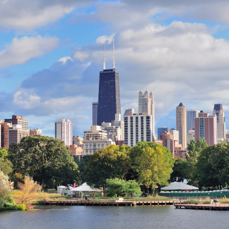 Risotto mit Curry und Shiitake-Pilzen