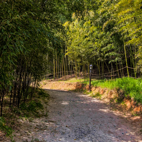 Bretagne – Die acht besten Tipps von Reisebloggern