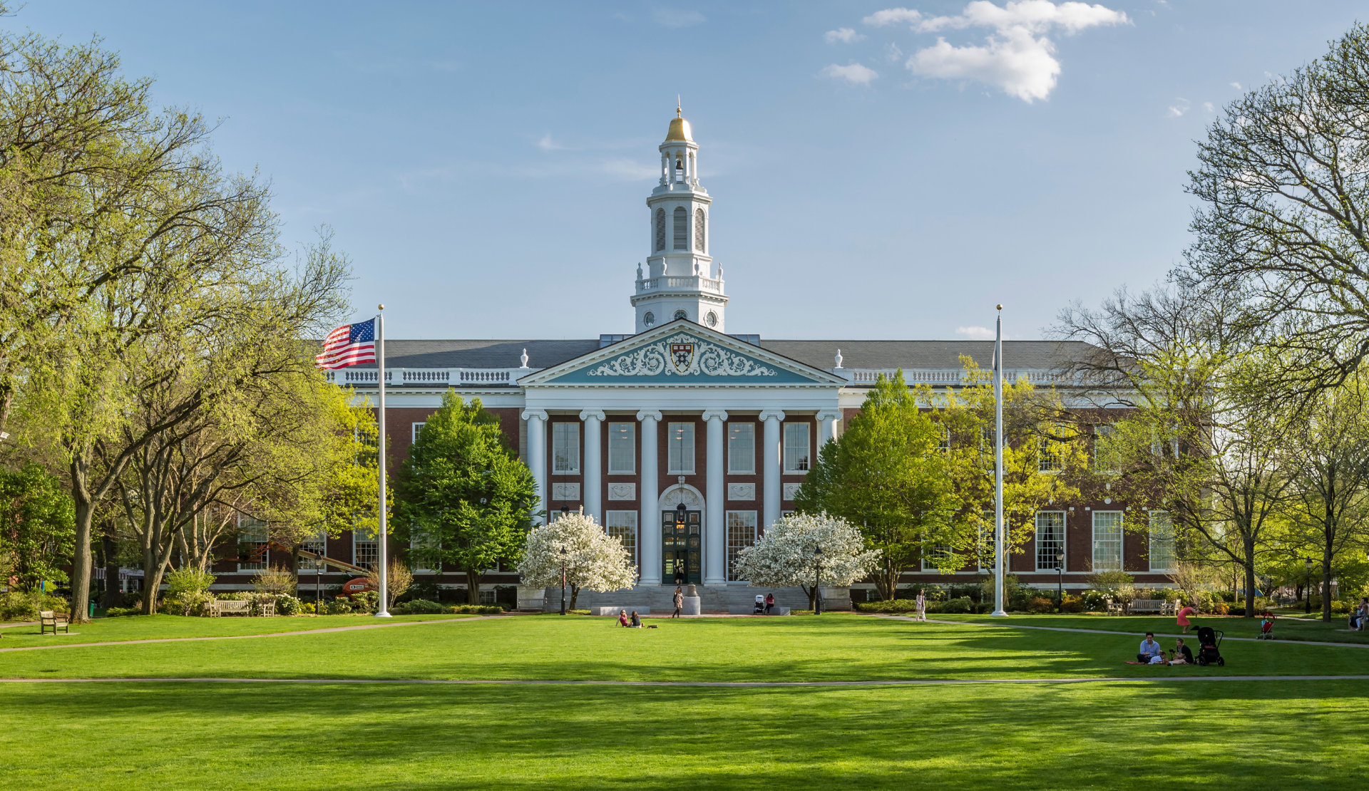 Historisches Gebäude der Harvard University mit grünem Campus und Bäumen in Cambridge