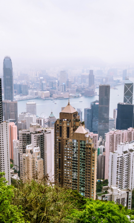 Hongkong Skyline vom Victoria Peak mit Wolkenkratzern, Victoria Harbour und grüner Vegetation im Vordergrund