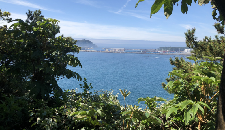 Blick auf das Meer von Jeju Island Südkorea mit subtropischer Vegetation im Vordergrund