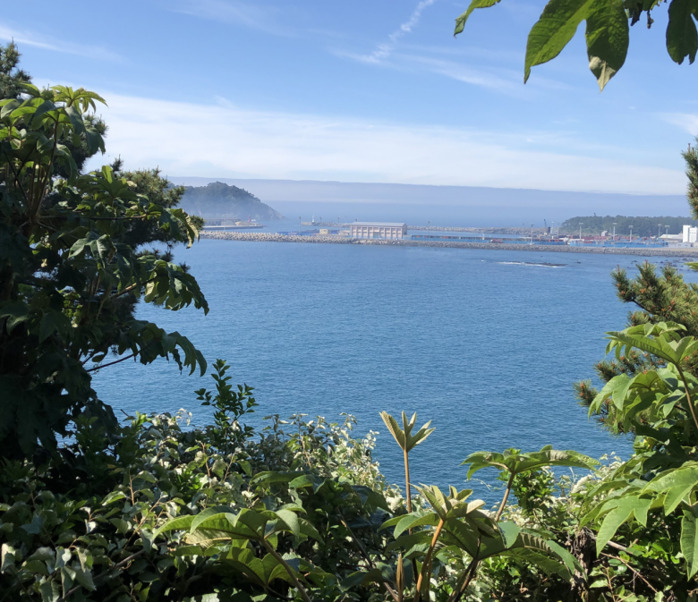 Blick auf das Meer von Jeju Island Südkorea mit subtropischer Vegetation im Vordergrund