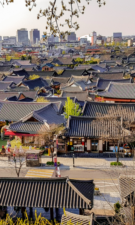 Blick über die Dächer des Jeonju Hanok Village mit hunderten traditionellen koreanischen Holzhäusern