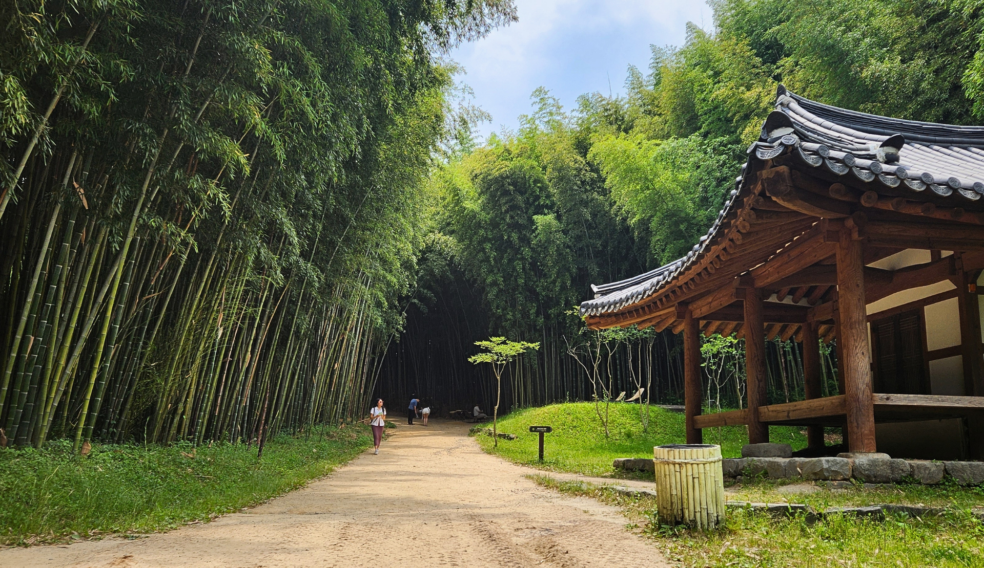 Hanok-Gebäude zwischen Bambusstämmen im Juknokwon Bambuswald in Damyang, Südkorea