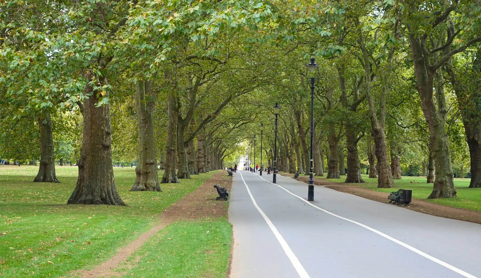 Baumallee im Hyde Park in London mit hohen Bäumen, schwarzen Laternen und einem asphaltierten Weg mit weißer Linie