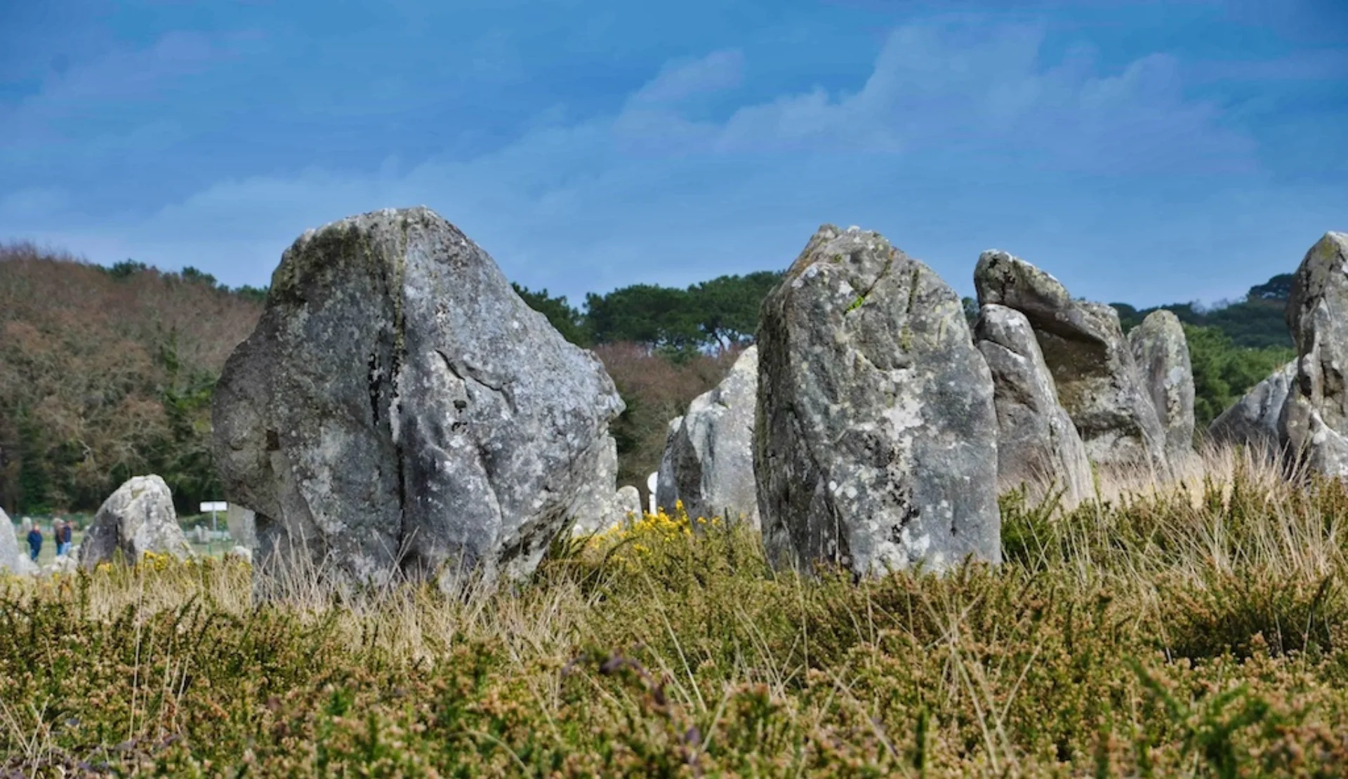 Steinreihen der Menhire von Carnac in der Bretagne