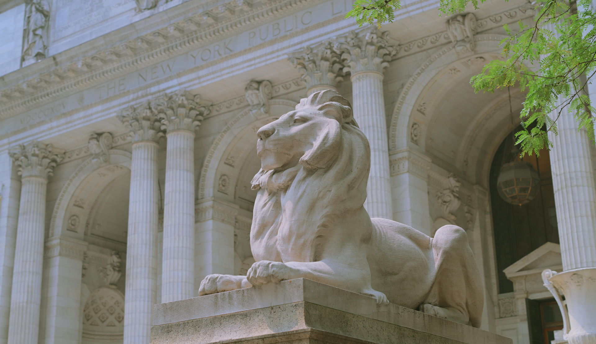 Löwenstatue vor der New York Public Library an der Fifth Avenue