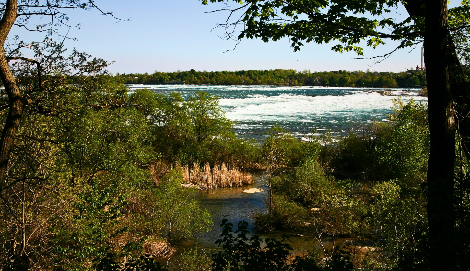 Blick auf den Niagara River mit grünem Ufer