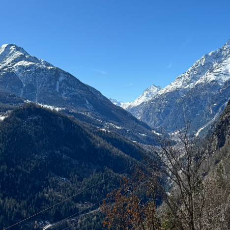 Rigatoni Rezept mit Champignons, Spinat und Speck