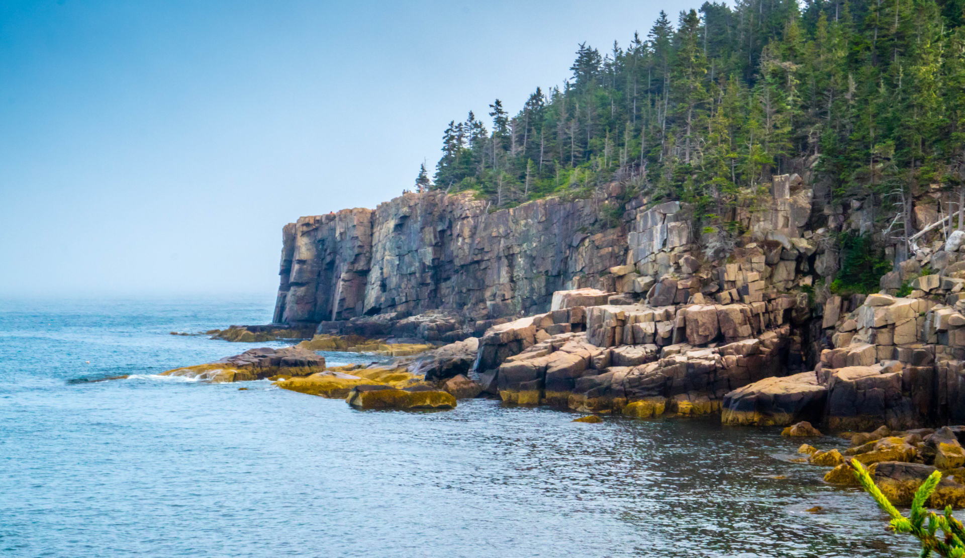 Otter Cliff im Acadia National Park mit steiler Felsküste und Blick auf den Atlantik