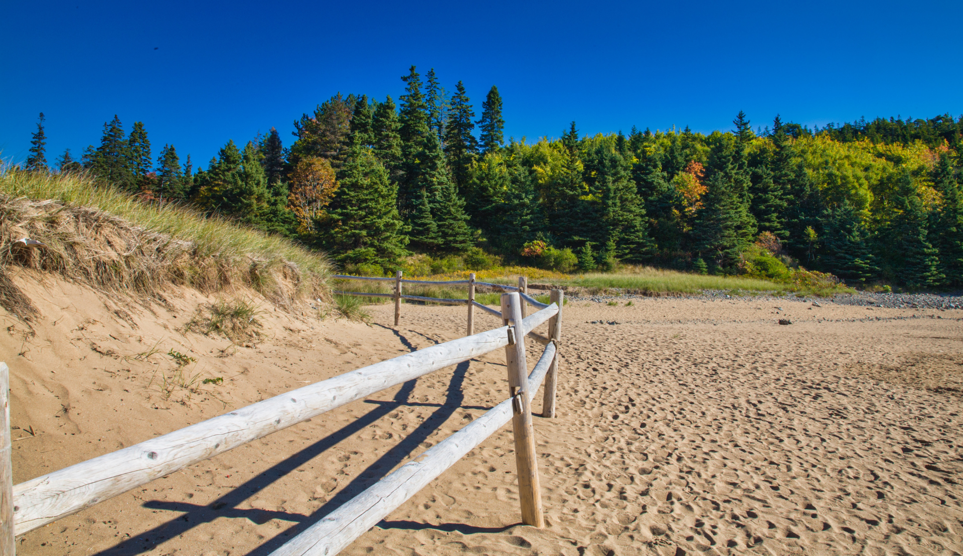 Sand Beach im Acadia National Park mit Dünen, Holzzaun und dichtem Küstenwald