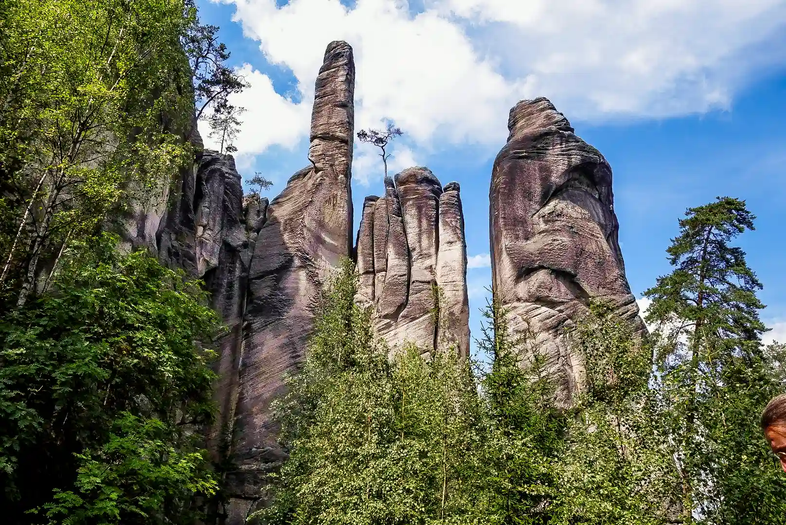 Hohe Sandsteintürme in der Adersbacher Felsenstadt, beliebtes Klettergebiet zwischen Bäumen