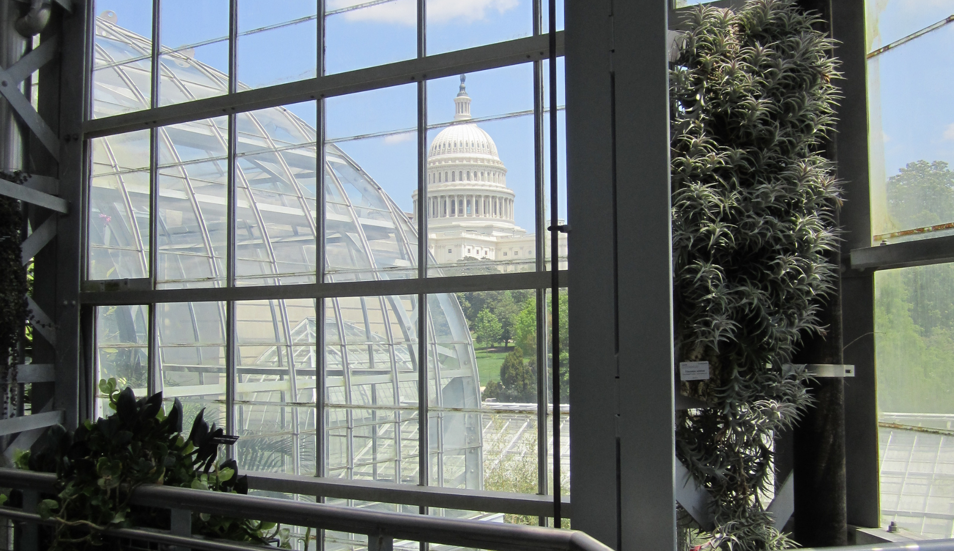 Blick vom Botanischen Garten in Washington DC auf das Capitol