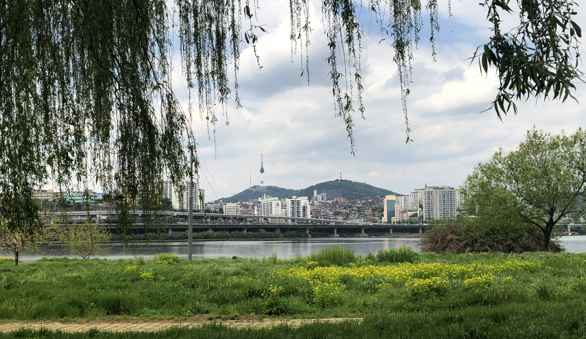 Blick über den Han River auf Seoul mit dem Namsan Tower im Hintergrund und Weidenbäumen im Vordergrund