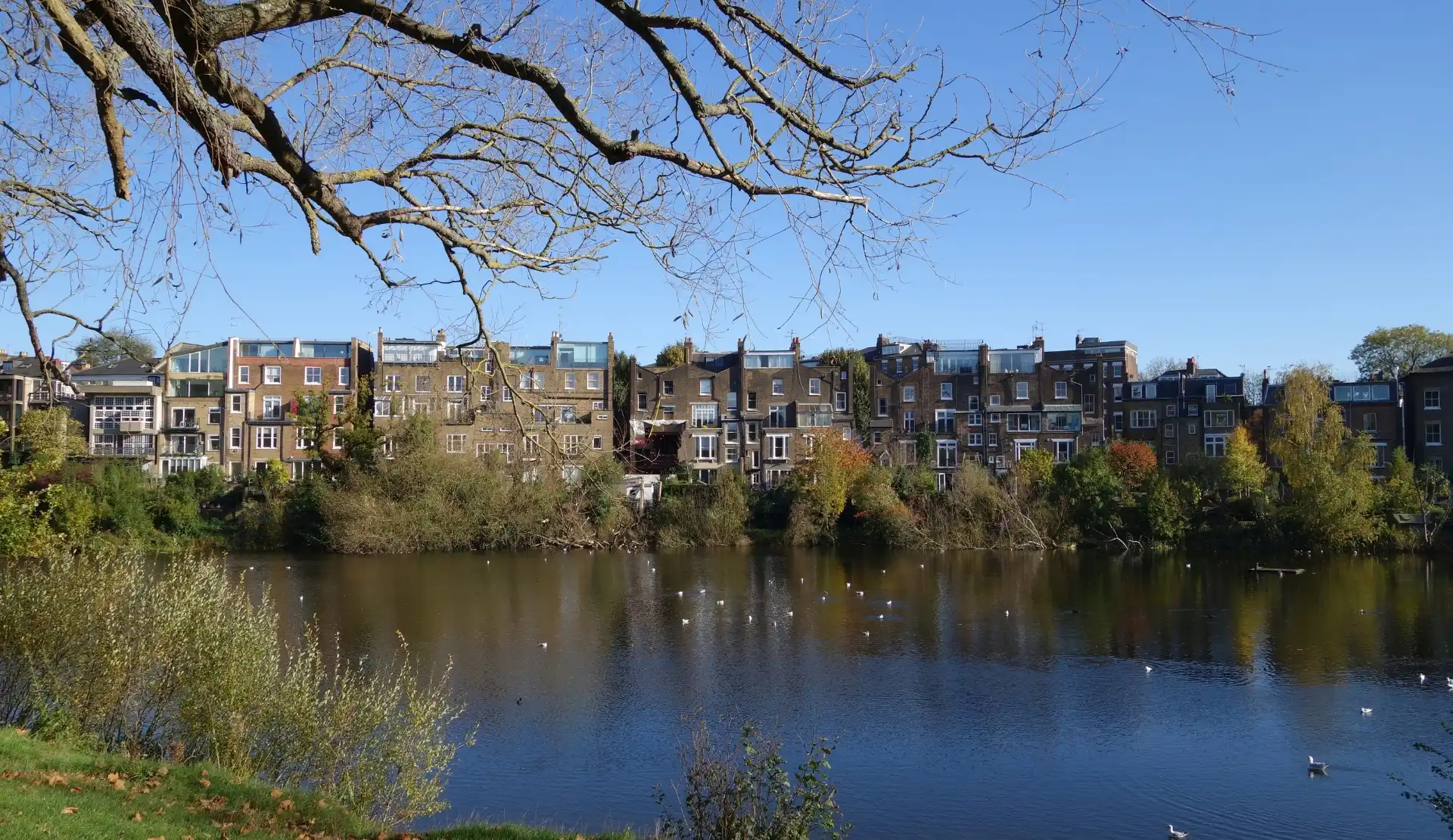 Teich mit Häusern am Ufer und Herbstlaub in Hampstead Heath, London