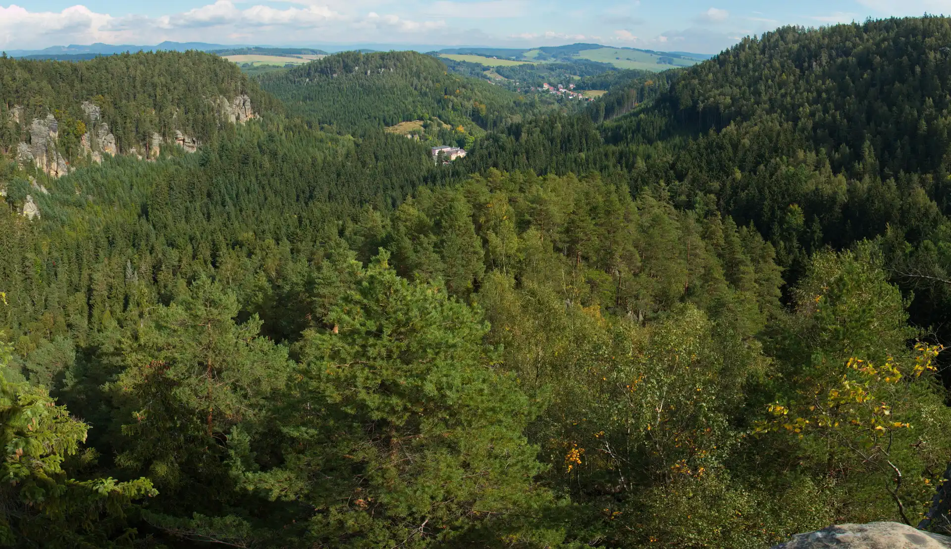 Panoramablick über die Weckelsdorfer Felsenstadt mit Felsformationen im dichten Wald